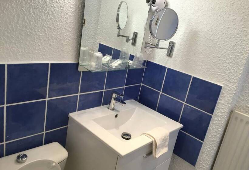 חדר סטנדרט, Hôtel Le Faisan