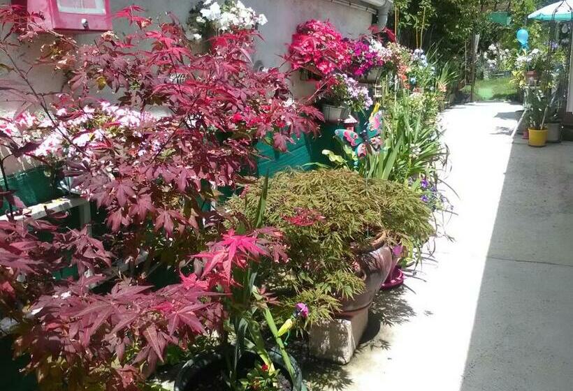 Номер Стандарт Совместная Ванная, Le Parisien