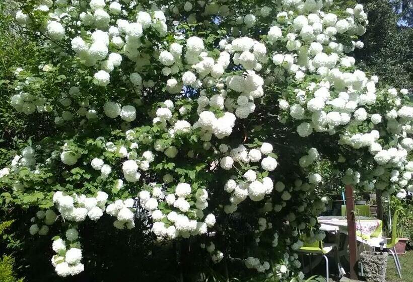 Номер Стандарт Совместная Ванная, Le Parisien