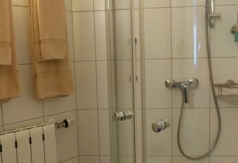 Апартаменты 1 Спальня, Altstadt Hotel Gelnhausen