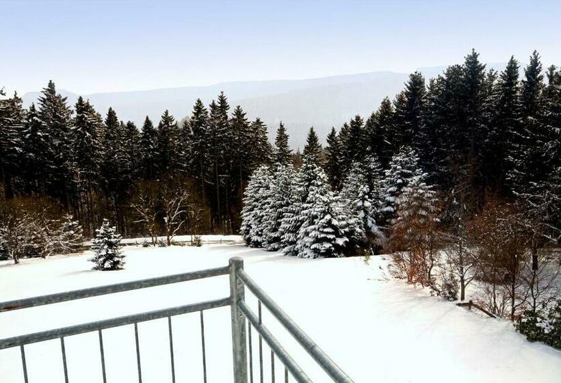 חדר סטודיו סטנדרד, Appart Hotel Harmonie