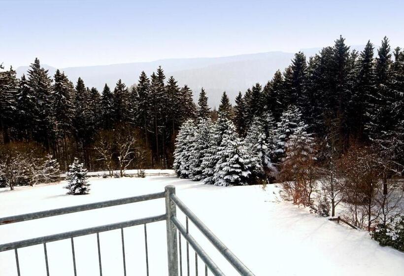 דירת חדר, Appart Hotel Harmonie