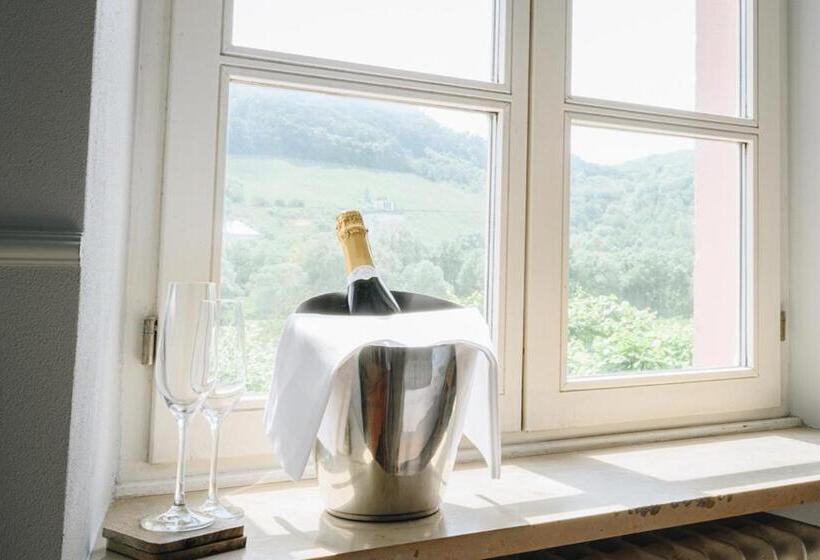 스탠다드 룸, Boutiquehotel Kloster Pfalzel