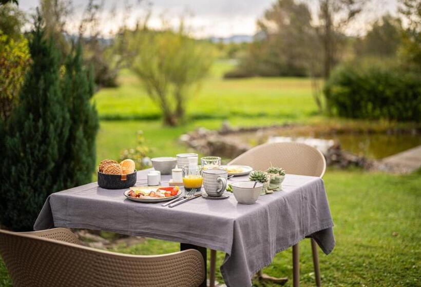 스탠다드 룸, Birkenmoor