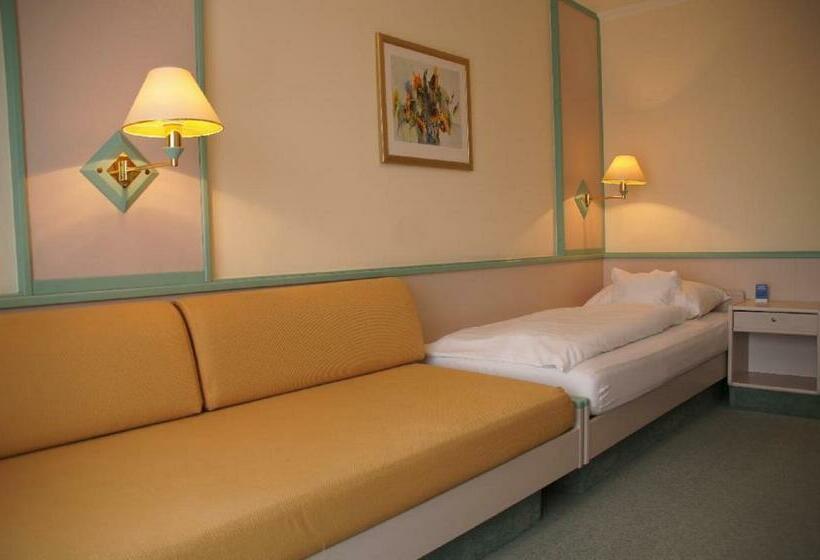 스탠다드 싱글 룸, Dein Franz