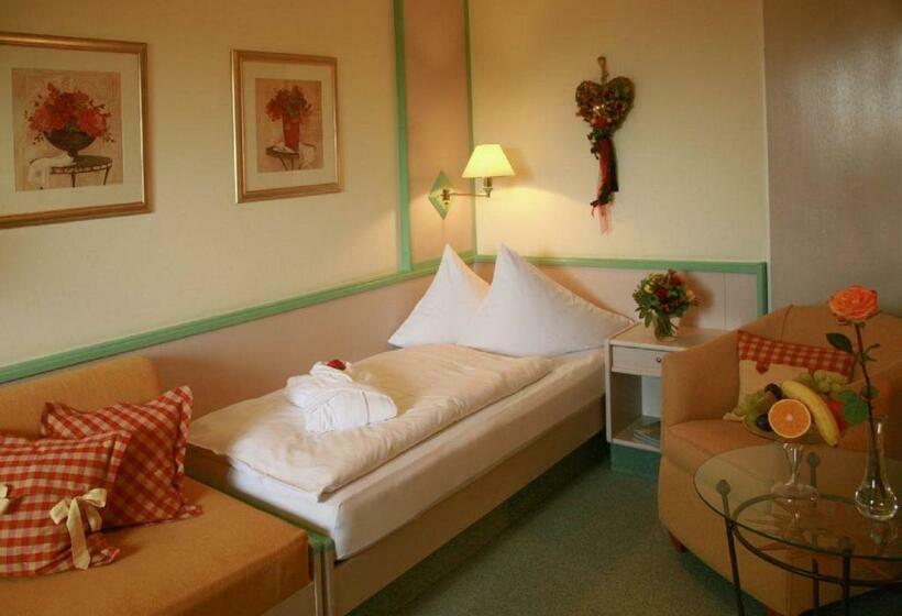 스탠다드 싱글 룸, Dein Franz