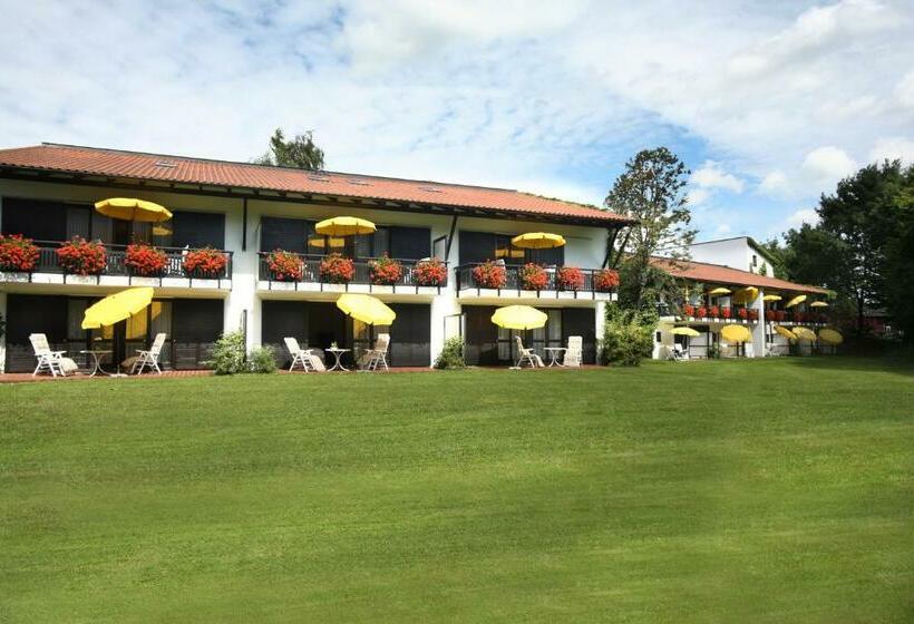 Номер Стандарт с Балконом, Hofmark