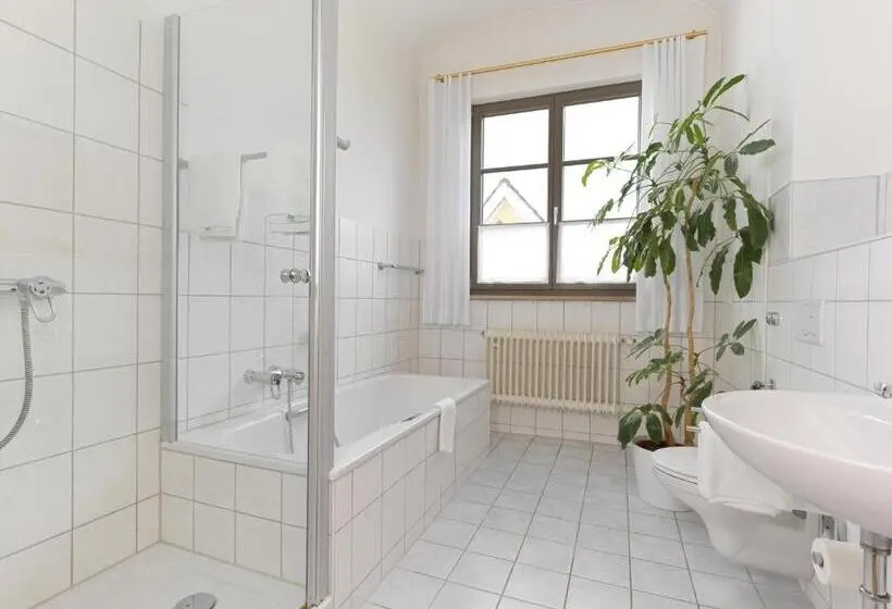 Juniorsviitti, Lodner Hotel Drei Mohren