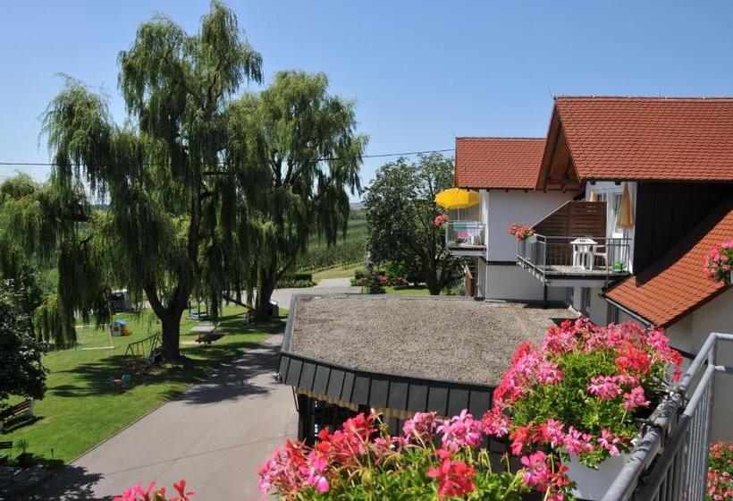 バルコニー付きシングルスタンダードルーム, Landhotel Schellenberg