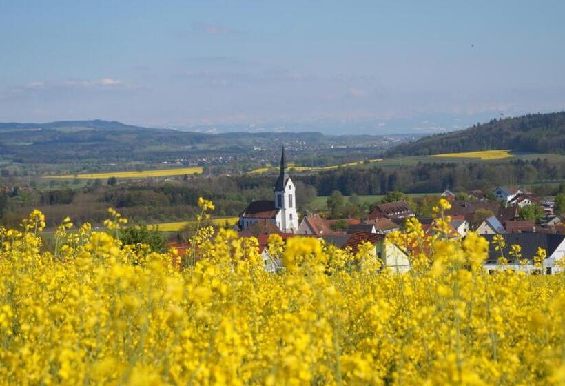 バルコニー付きシングルスタンダードルーム, Landhotel Schellenberg