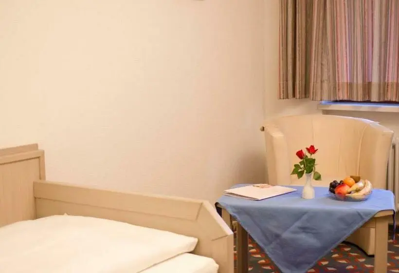 クラシックシングルルーム, Schreyers Hotel Restaurant Mutzel