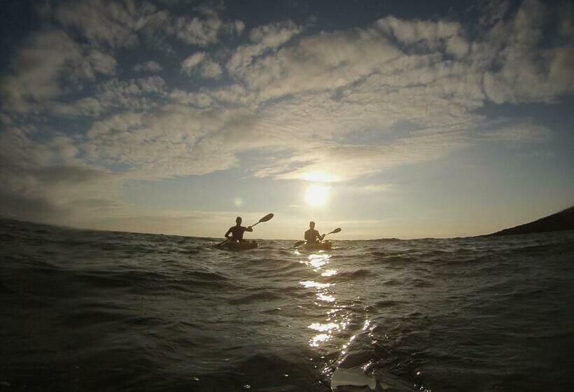 Standardrum, Pyne Arms