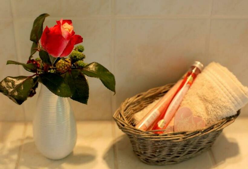 스탠다드 싱글 룸, Haus Geistmeier