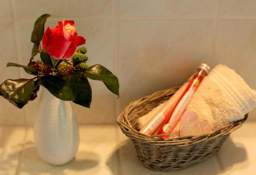 스탠다드 발코니 룸, Haus Geistmeier