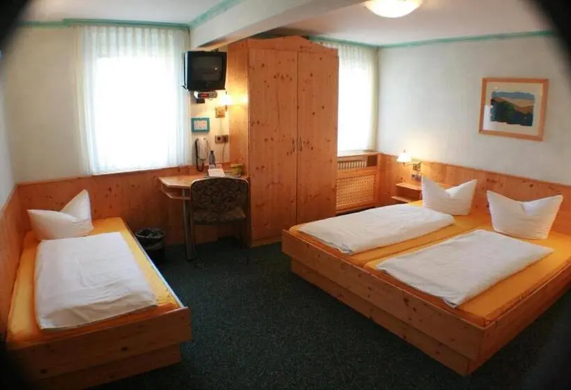 Standard Kolmen Hengen Huone, Rebstock