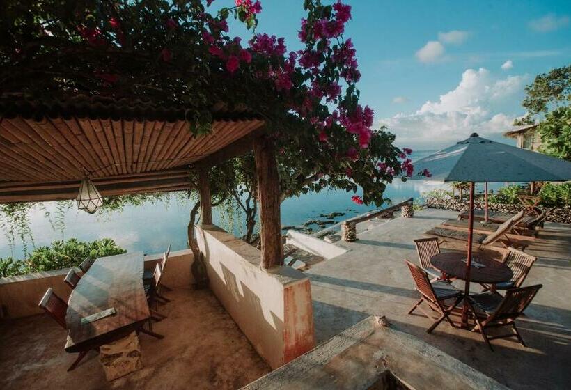 オーシャンビューのスタンダードバンガロー, Rock'n Reef