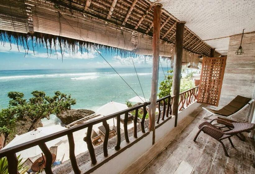 オーシャンビュースタンダードルーム, Rock'n Reef