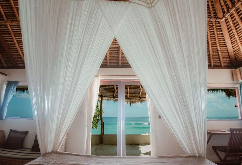 بنجلو ديلوكس, Rock'n Reef