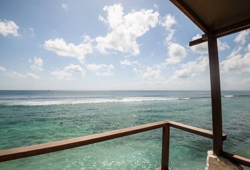 デラックスバンガロー, Rock'n Reef