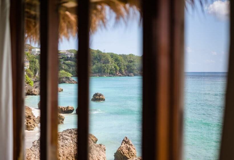 デラックスバンガロー, Rock'n Reef