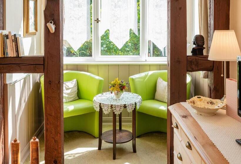 غرفة قياسية, Villa Rossek