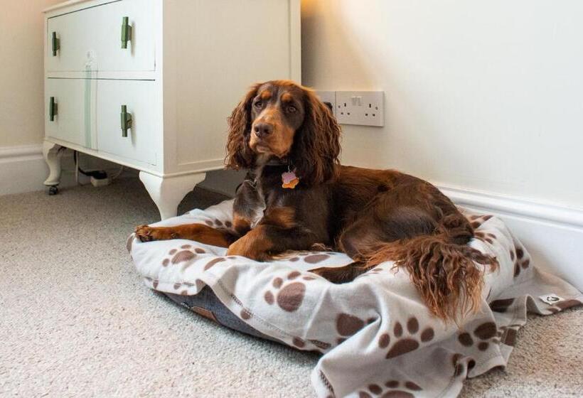 חדר סטנדרט נוף להרים, The Mount B&b