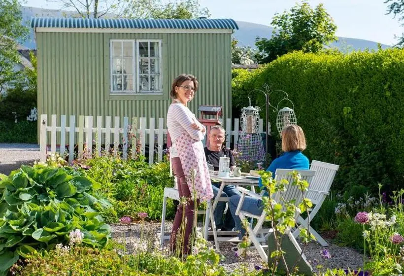 Maja/Mökki, The Mount B&b