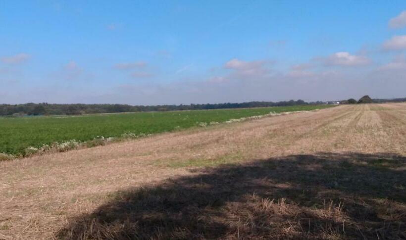 家庭间, Brook Barn B&b