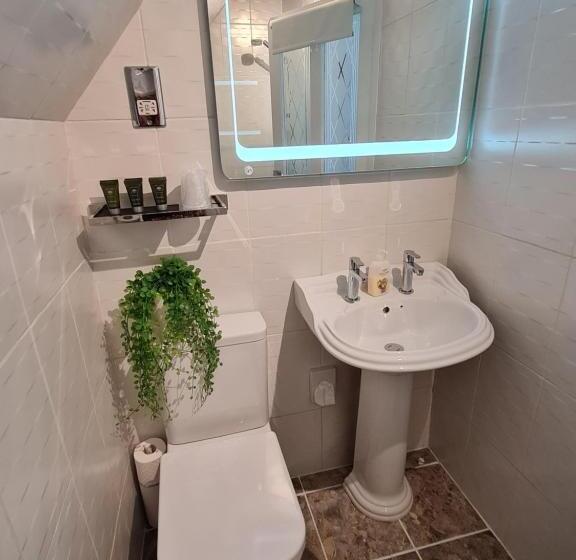 带大床的标准间, Eagle View Guest House