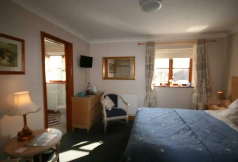Standard-huone, Great Danes Licenced Guesthouse