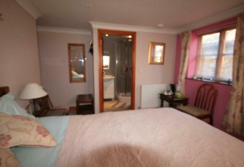 Номер Стандарт, Great Danes Licenced Guesthouse