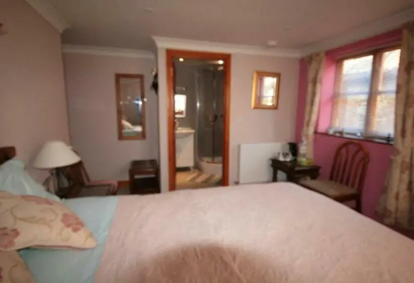 Standard-huone, Great Danes Licenced Guesthouse