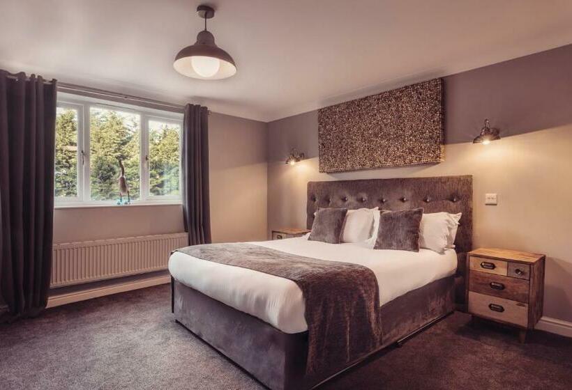 수피리어 룸, The Dunes