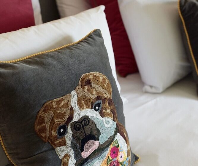 غرفة بريميوم, The Pyewipe