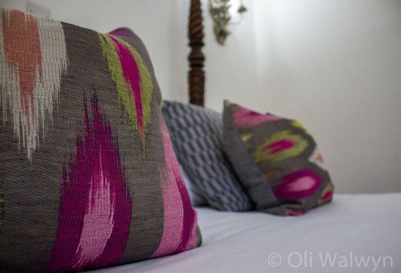 غرفة قياسية, The Pyewipe