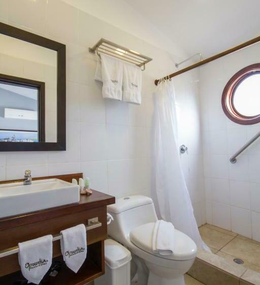 수피리어 트리플룸 바다 전망, Volcano