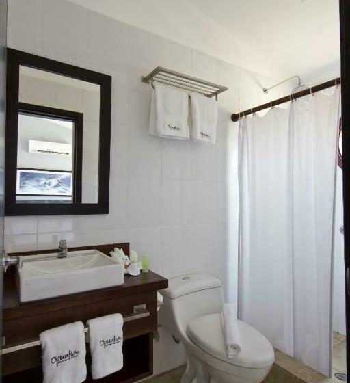 수피리어 트리플룸 바다 전망, Volcano