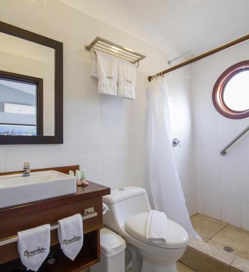 수피리어 룸 바다 전망, Volcano