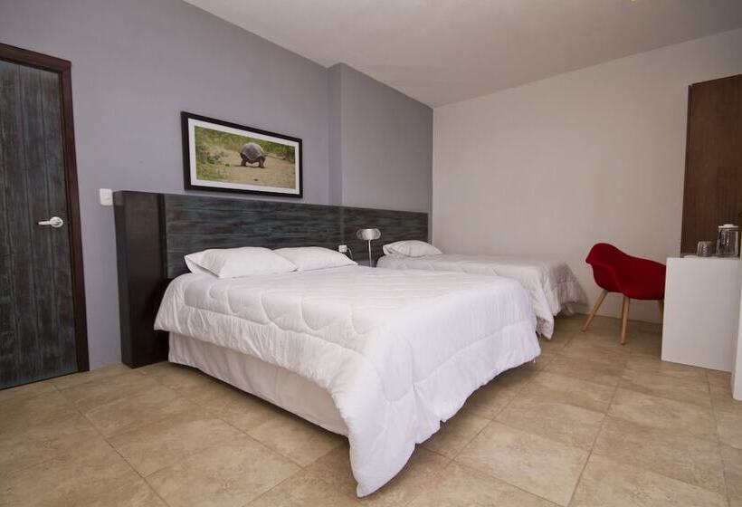 스탠다드 룸, Volcano