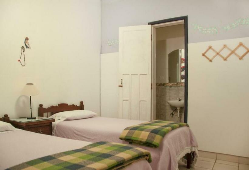 StandaardKamer, Sakti Hostal B&b