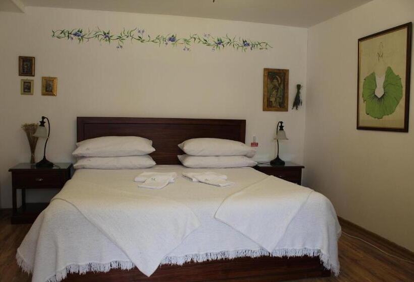 Superior Kamer, Sakti Hostal B&b