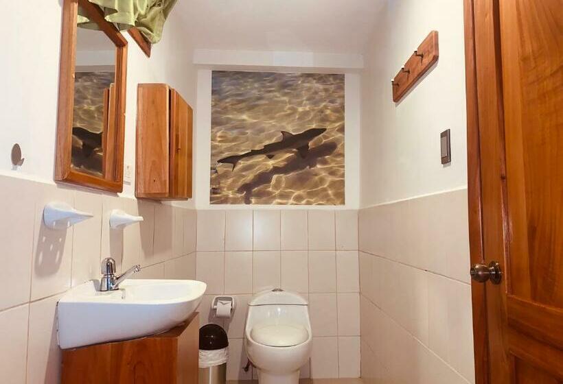 스탠다드 룸 더블 침대, Hostal White House Galapagos