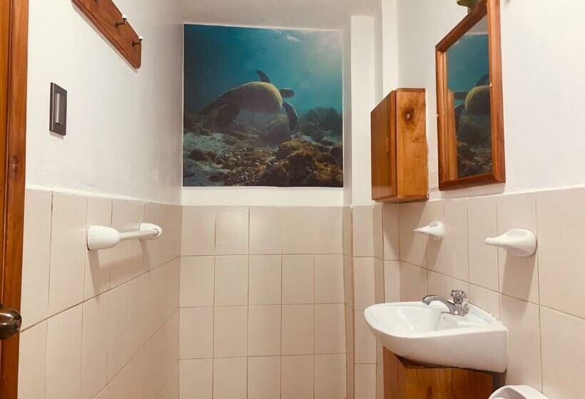 Номер Стандарт Двуспальная Кровать, Hostal White House Galapagos