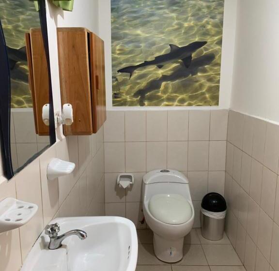 스탠다드 트리플 룸, Hostal White House Galapagos