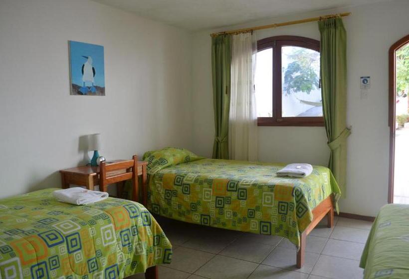 스탠다드 트리플 룸, Hostal White House Galapagos