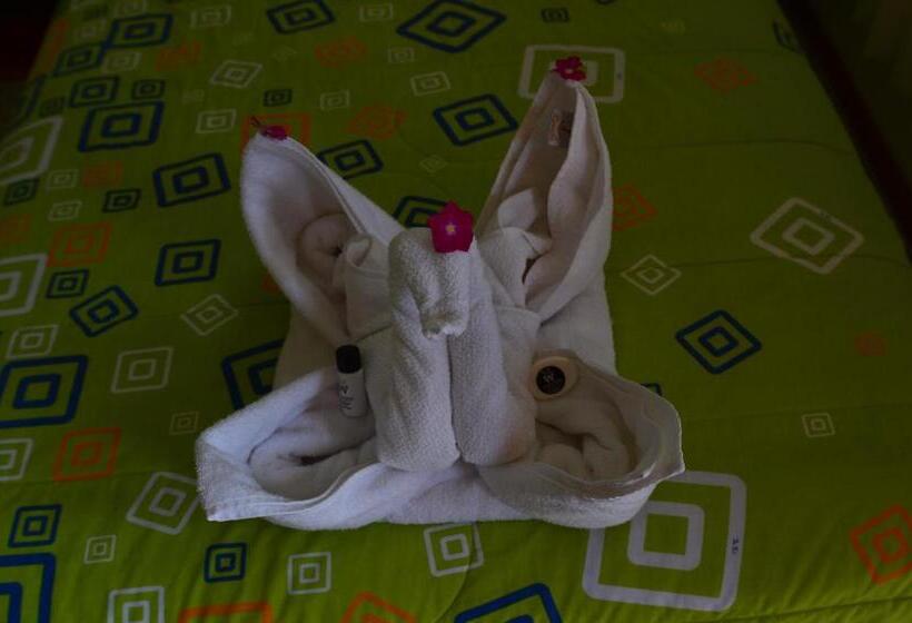 스탠다드 트리플 룸, Hostal White House Galapagos