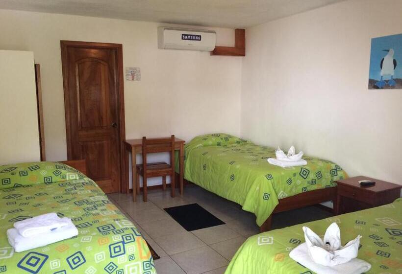 Номер Стандарт Трехместный, Hostal White House Galapagos