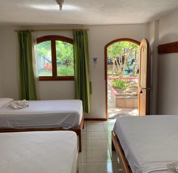 스탠다드 트리플 룸, Hostal White House Galapagos