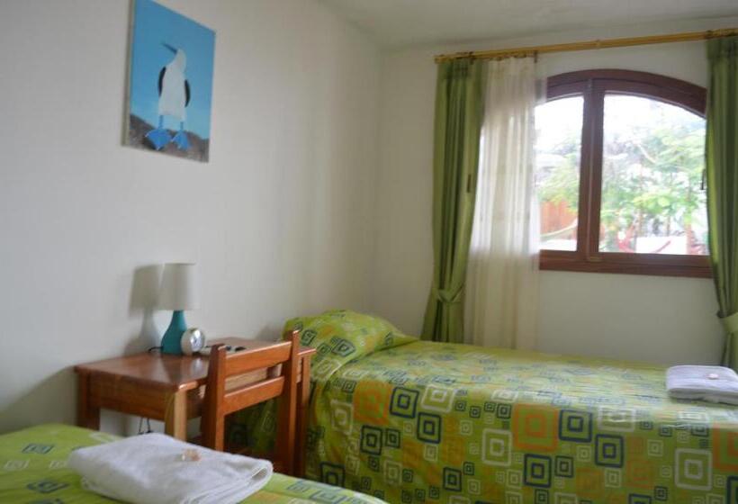 Номер Стандарт, Hostal White House Galapagos