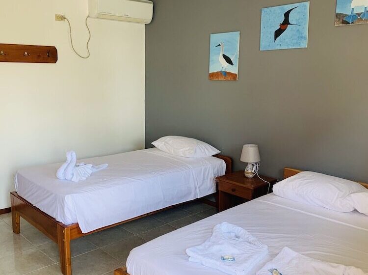 스탠다드 트리플 룸, Hostal White House Galapagos